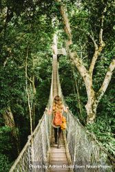 Back Of Woman Walking On Suspension Bridge In Forest Vertical Free