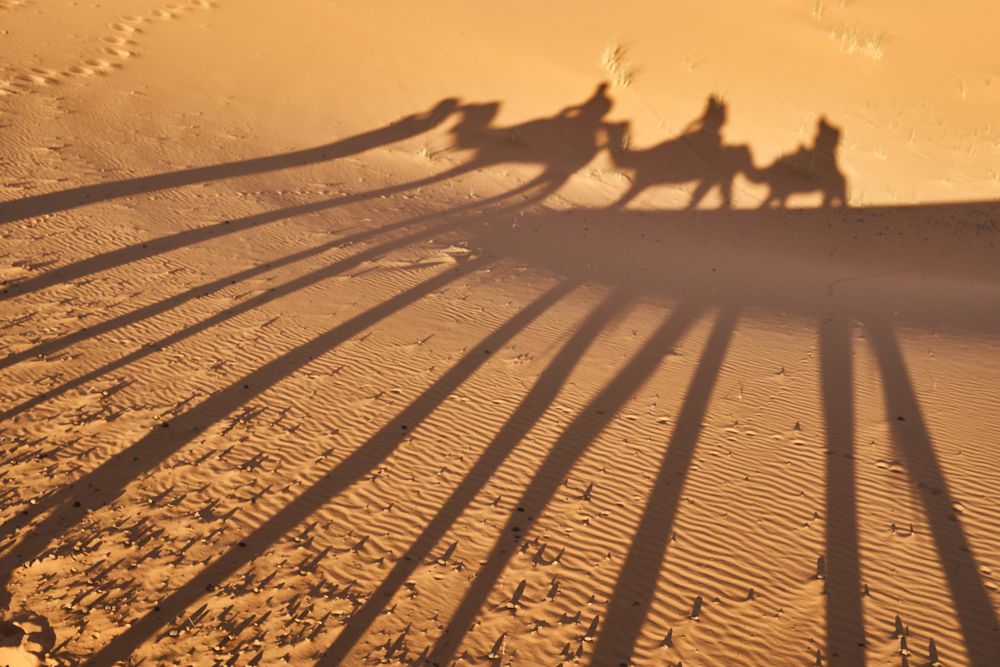Shadow on sand of camels and people