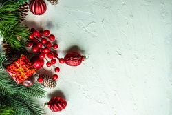 Green wintry branch with red baubles on bright background with copy space