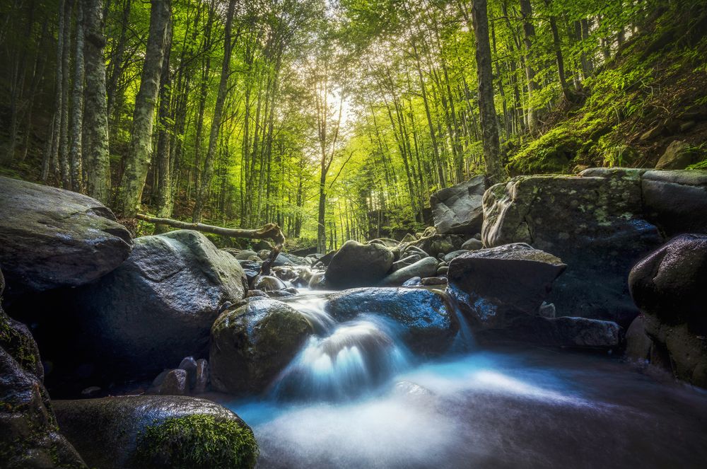 Abetone, stream waterfall inside a forest, Apennines, Tuscany, Italy