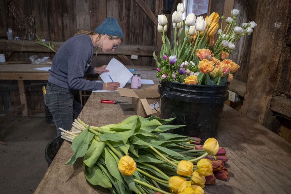 Copake, New York - May 19, 2022: Female surrounded by flowers taking notes in workshop
