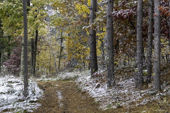 First snow and a path in McGregor, Minnesota