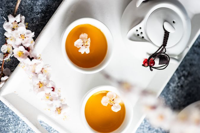 Spring floral concept with apricot blossom with green tea set