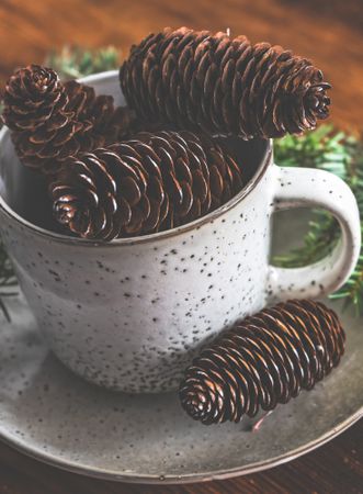 Christmas holiday concept of pine cones in mug