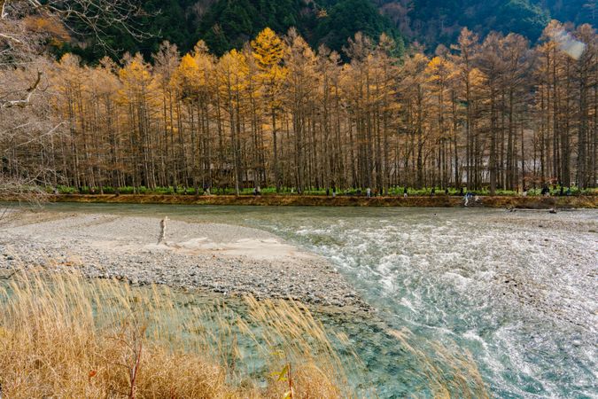 landscape view of japan alps mountain with natural forest, blue river on autumn season at kamikochi Nagano.