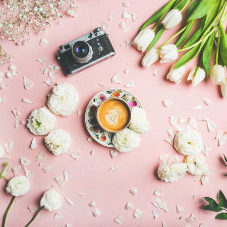 Coffee, camera, tulips artfully arranged on pink background, square crop