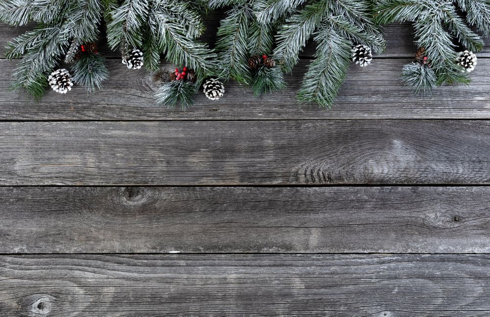 Year end holiday concept with basic snow fir with pine cones and red berries