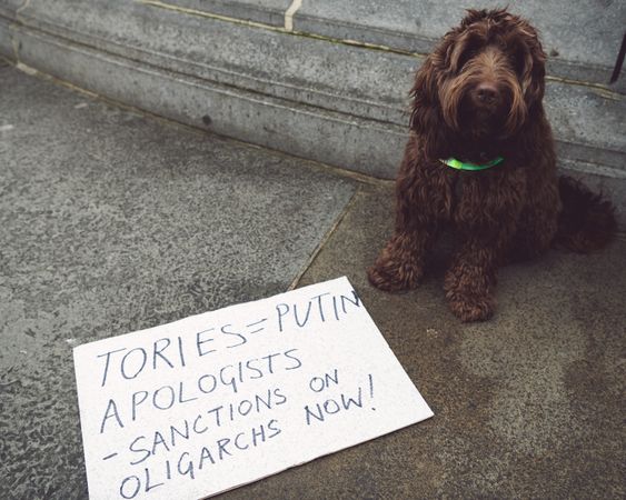 London, England, United Kingdom - March 5 2022: Dog with anti-war sign