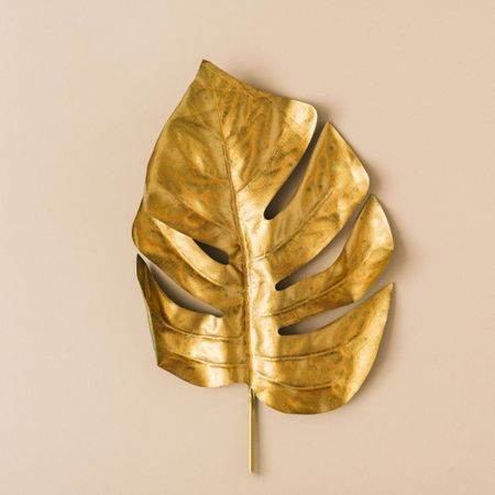 Golden tropical leaf on beige background