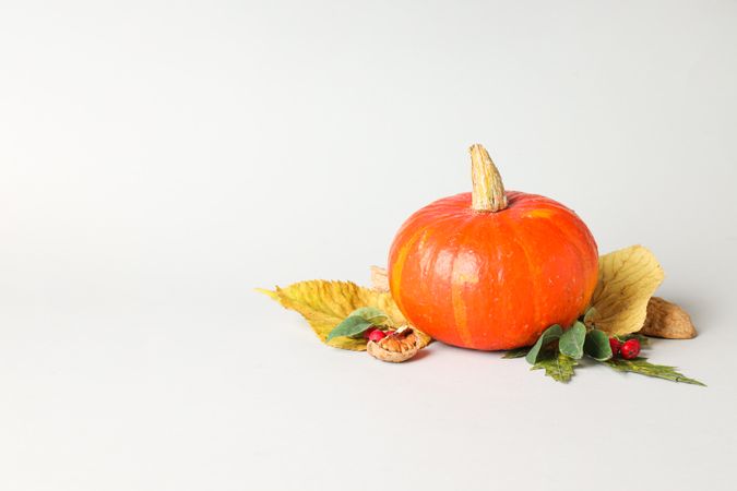 Cooking ingredients for fall season - pumpkin seeds, pumpkin