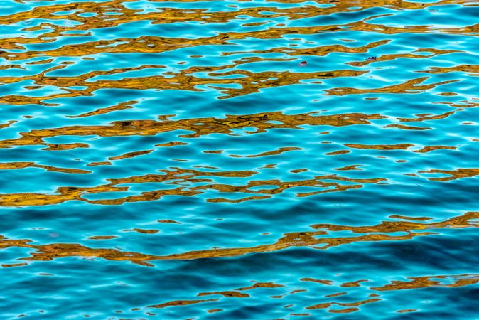 Alpine lake waves with autumn leaves reflection, background full frame