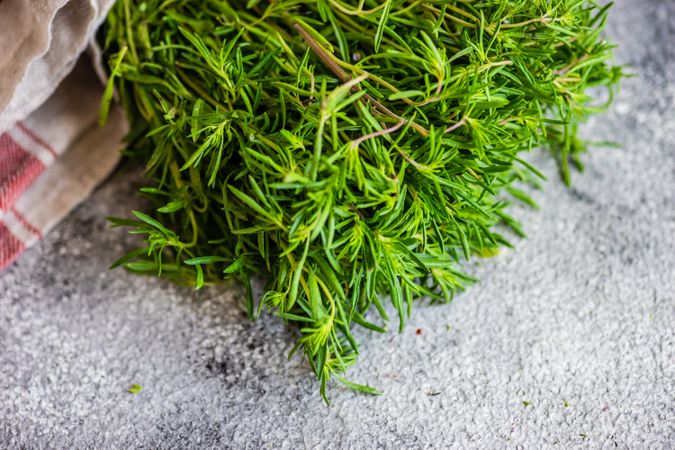 Herbs wrapped in kitchen towel on counter