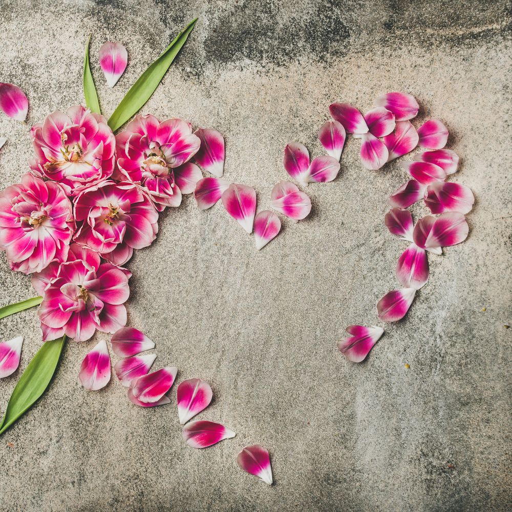 Pink tulips and petals arranged in heart shape on grey concrete surface