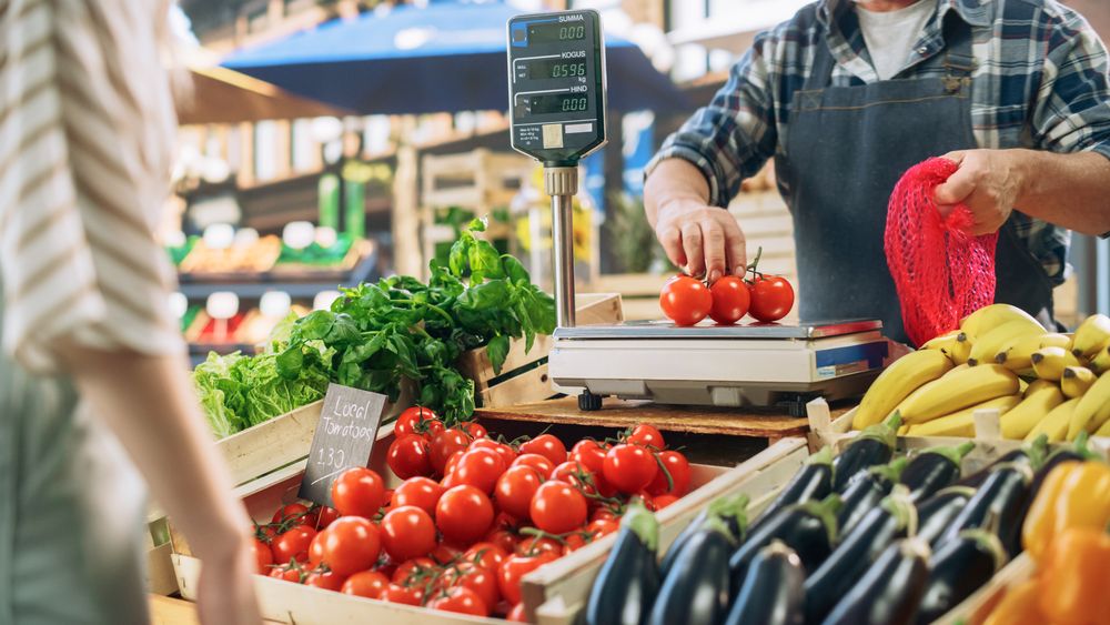Woman Buying On the Vine Bio Tomatoes From a Seasonal Farm Market Stall