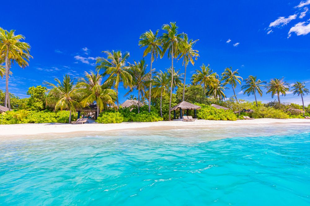 Tropical beach resort with thatch cabana and palm trees