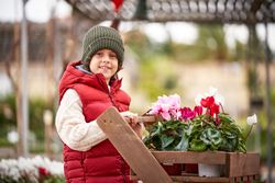 Adorable preteen boy with wooden garden cart with potted plants