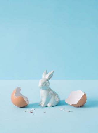 Open eggshell with bunny rabbit