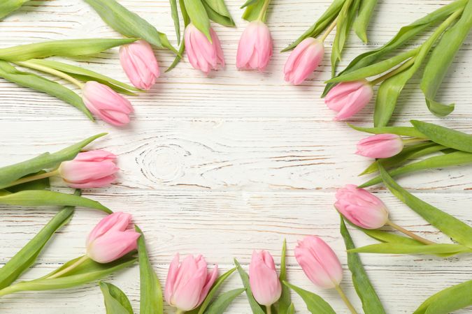 Beautiful tulips on wooden background, top view and space for text