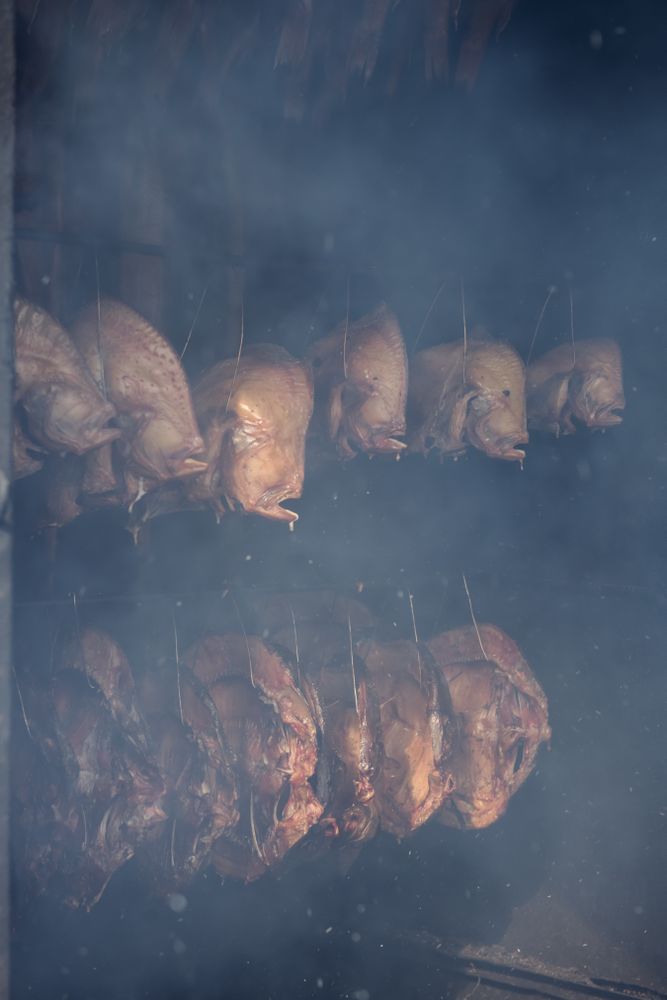 Rows of fish in smokehouse