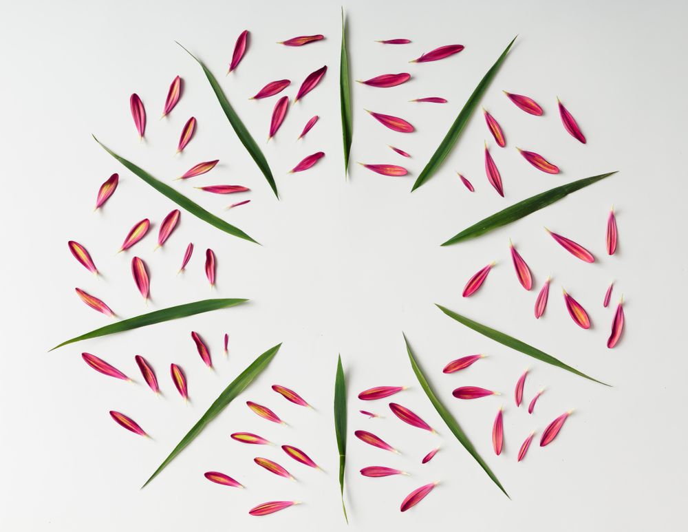 Colorful bright pattern of petals and leaves