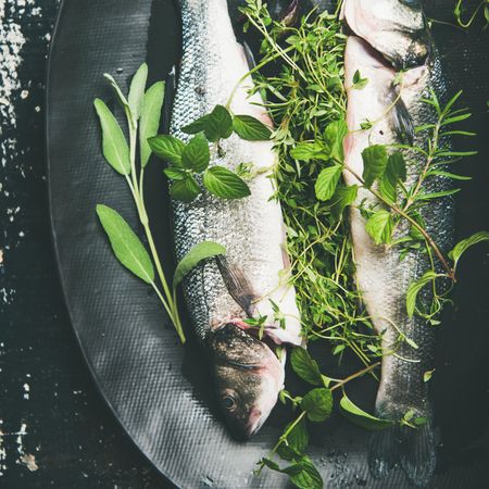 Sea bass with herbs in dark bowl, square crop