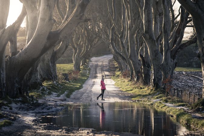 Unrecognizable person on beech trees tunnel in winter day