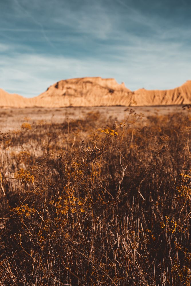 Picturesque sandy cliffs in sunlight