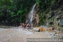 Group of Indian men in underwear bathing in waterfall on side of highway in Mussoorie India 4OdgEb
