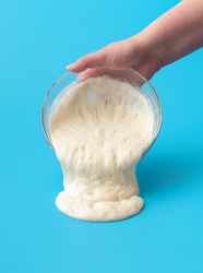 Sourdough starter before baking