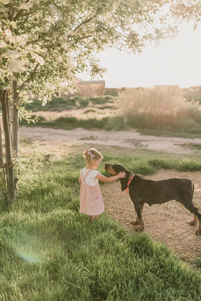 Girl petting a dog in the park