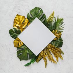 Green and gold leaves surrounding square paper on marble background