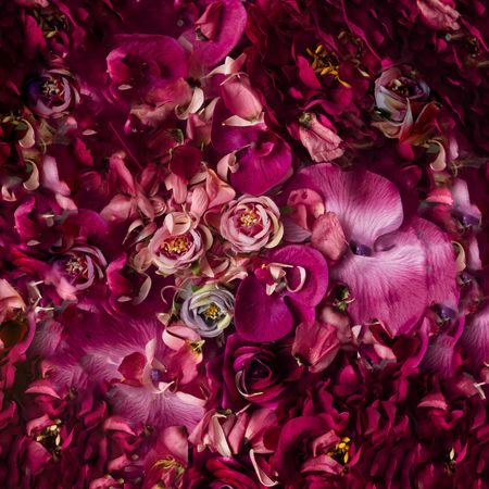 Bed of pink and violet flowers and petals