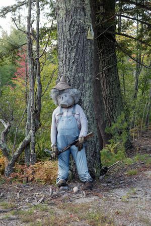 Scarecrow with gun, near Porterfield, Maine