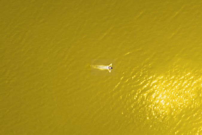 Far away aerial image of woman swimming in yellow water