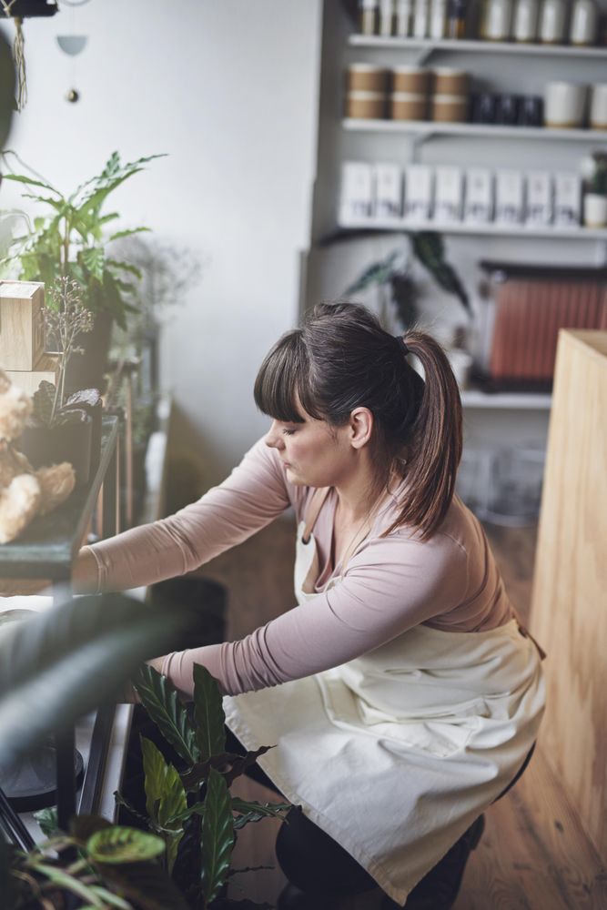 Florist arranging plants in her store window