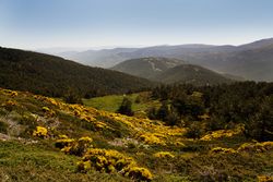 Picturesque landscape of green mountains in summer