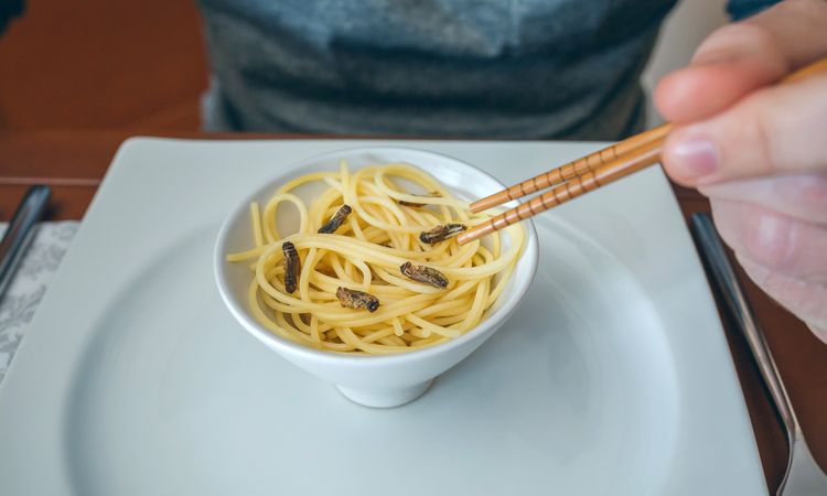 Man eating spaghetti and crickets