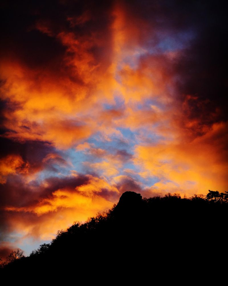 Silhouette of trees under cloudy sky during golden hour