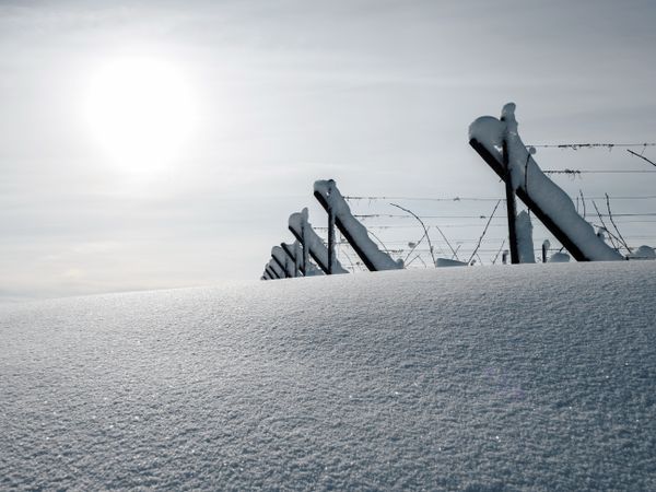 Alsace vineyards under heavy snow on a sunny winter day. Details and top view.
