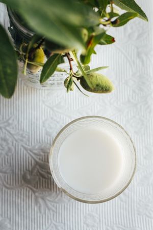 Glass of almond milk on kitchen table