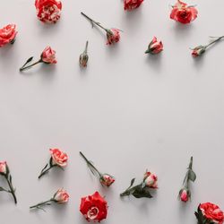 Colorful flowers pattern with copy space on light background