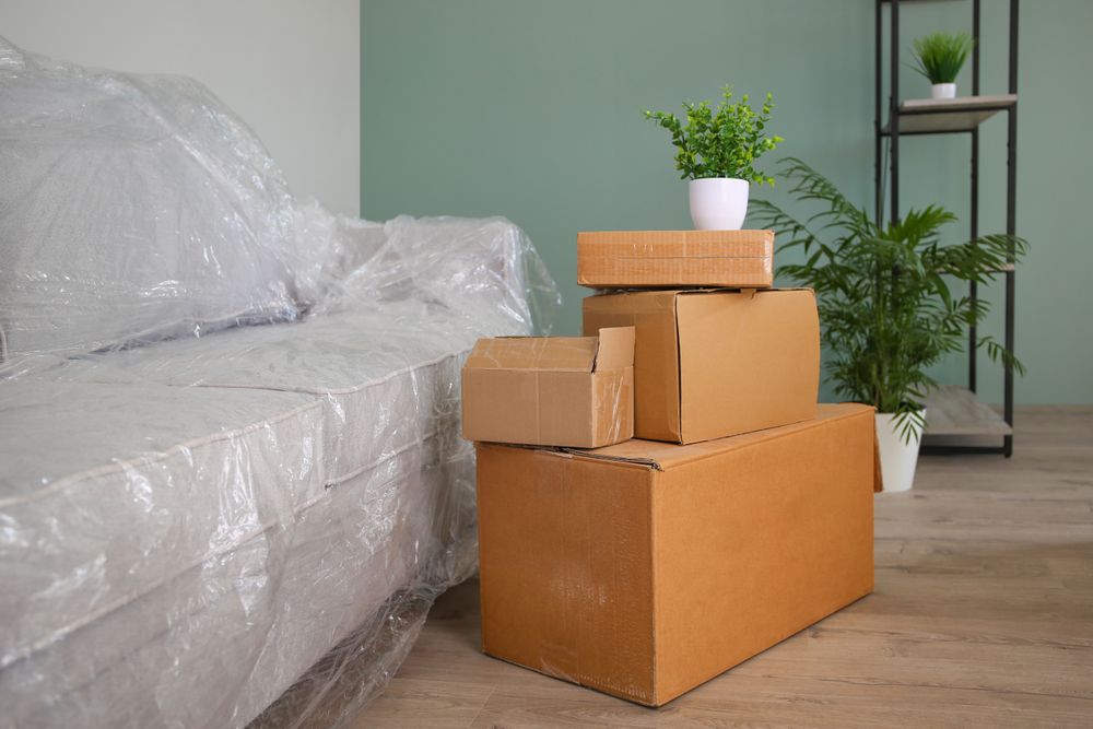 Packed sofa and cardboard boxes in the living room.