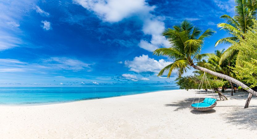 Hanging lounge chair on a tropical beach