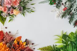 Autumn leaves, winter pine tree, spring flowers, tropical leaves bordering light background