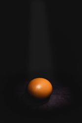 Raw eggs on dark background