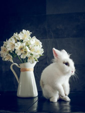 Cute rabbit near vase of flowers
