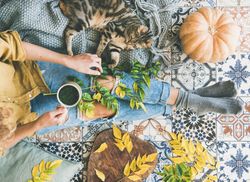 Woman holding mug, with cat on blanket sitting on colorfully tiled balcony with fall leaves