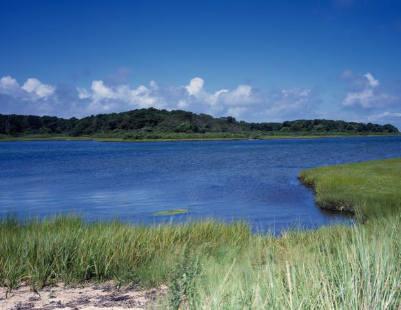 Salt marsh near Beaufort, South Carolina
