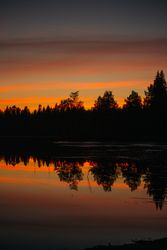 Sunset sky over trees and swamp