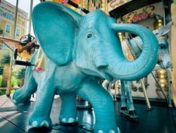 Baby Elephant: Carousel 1900